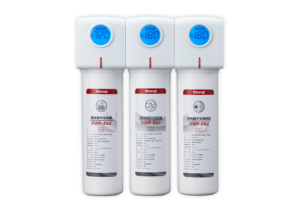 【格蘭登】 日本 Rinnai 廚下型三道式淨水器 (含龍頭) RWP-F300
